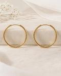 SKU E005 cover image